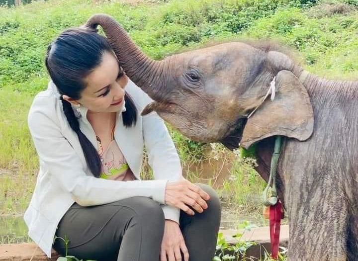 “หนูนา” ถามตรงๆ ใครรับผิดชอบ “ช้างป่าหูพับ” ตายหลังยิงยาซึมระหว่างเคลื่อนย้าย
