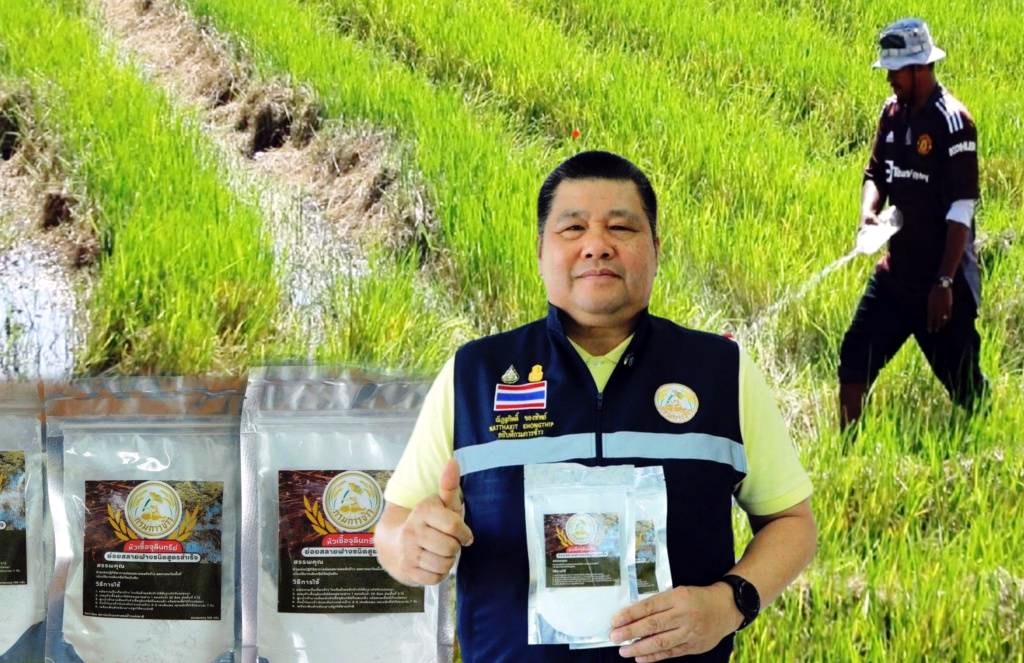 สถาบันวิทยาศาสตร์ข้าวแห่งชาติ ผลิตหัวเชื้อจุลินทรีย์ย่อยสลายฯ สำเร็จ เกษตรกรรับฟรี!!