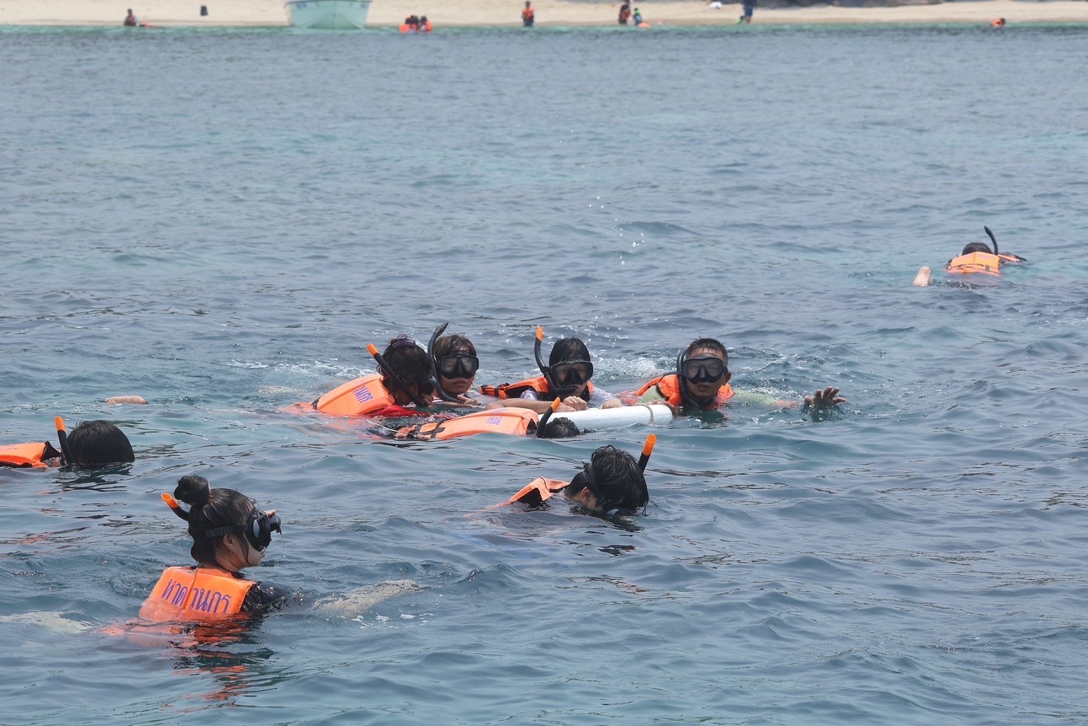 นักท่องเที่ยวดำน้ำชมทุ่งดอกไม้ทะเล"เกาะจาน-เกาะท้ายทรีย์"อช.หาดวนกร ประจวบคีรีขันธ์