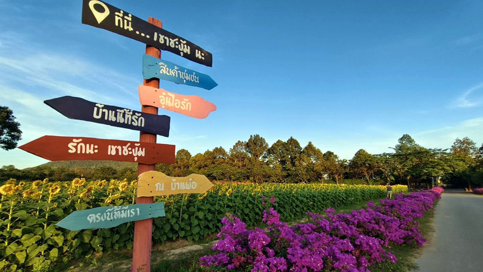 เขาชะงุ้มจัดงานใหญ่ 9 วัน รับปีใหม่ 2569 ชวนเที่ยวโครงการพระราชดำริ ชมทุ่งทานตะวันบาน–ตลาดชุมชน