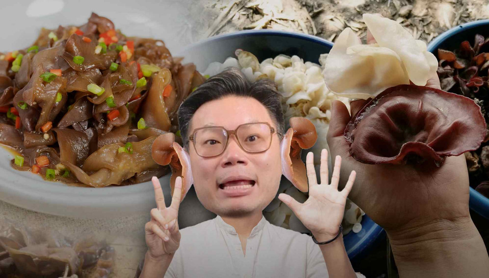 "หมอเจด" เตือน 7 ข้อควรรู้ ก่อนกิน “เห็ดหูหนู” อาหารสุขภาพยอดฮิตที่อาจกลายเป็นภัยเงียบได้ถ้ากินผิดวิธี