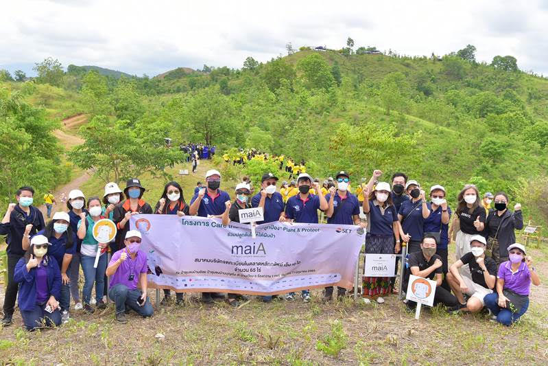 สมาคม maiA ร่วมคืนผืนป่า 65 ไร่ จ. แพร่ ในโครงการ Care the Wild “ปลูกป้อง” Plant & Protect
