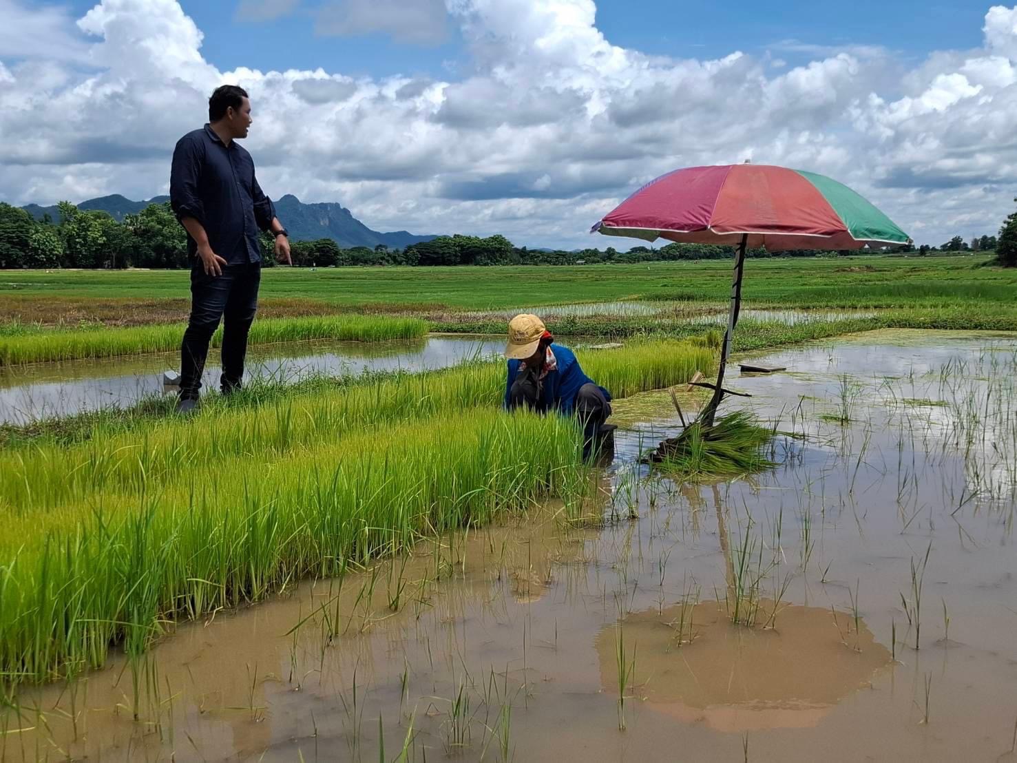 โครงการส่งน้ำฯกิ่วลม-กิ่วคอหมา ติดตามการส่งน้ำเพาะปลูกพืชฤดูฝนข้าวนาปี 