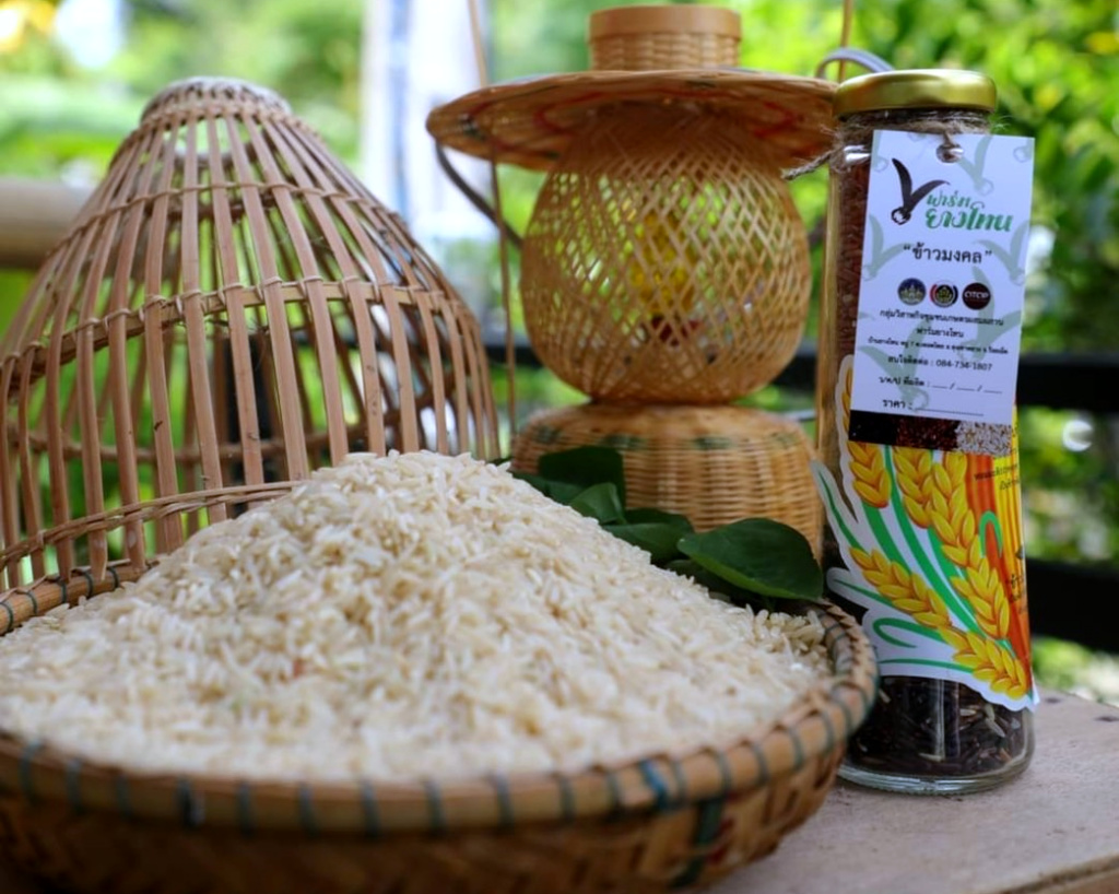 ศูนย์เมล็ดพันธุ์ข้าวร้อยเอ็ด ช่วยเหลือและพัฒนา นำพาชาวเกษตรกรสู่รางวัลระดับประเทศ