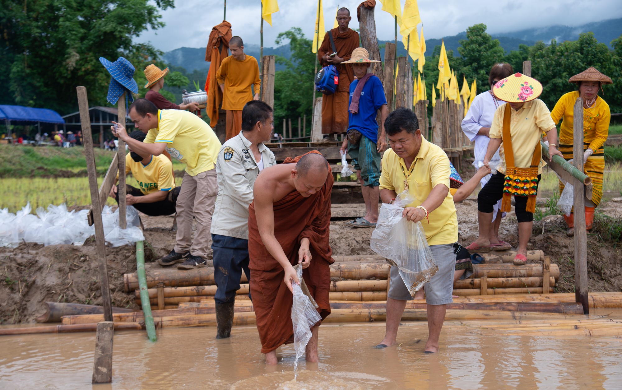 แม่ฮ่องสอน ขอเชิญร่วมกิจกรรมปล่อยปลา ลงแขก ดำนา เฉลิมพระเกียรติฯ 28 กรกฏาคม 2568 ณ วัดภูสมณาราม