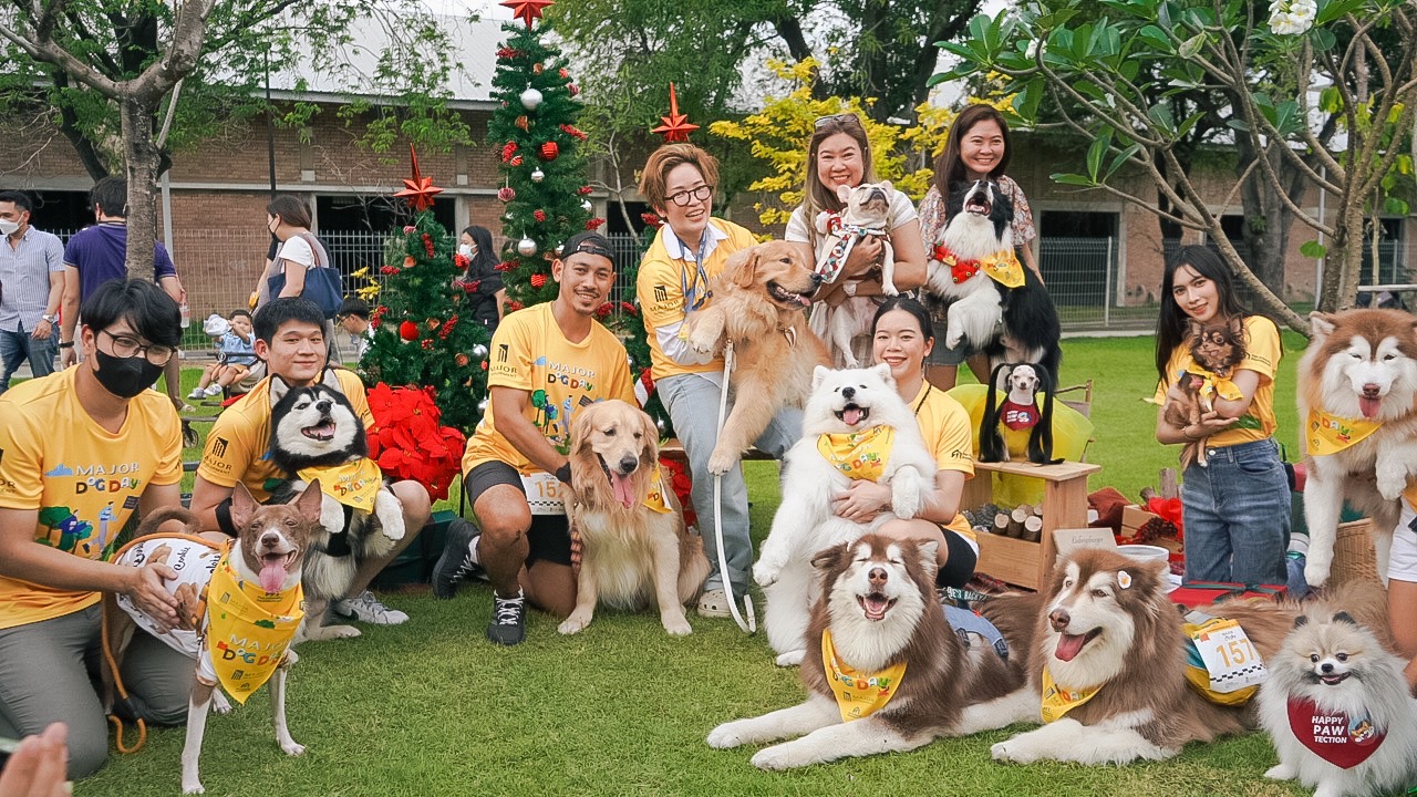 “เมเจอร์ ดีเวลลอปเม้นท์” ชวน Pet Lover อวดโมเม้นท์ดีดีกับสัตว์เลี้ยงแสนรักผ่าน TikTok เพียงอัพโหลด Follow และ Tag @Major.co.th ลุ้นรับรางวัลพิเศษ 