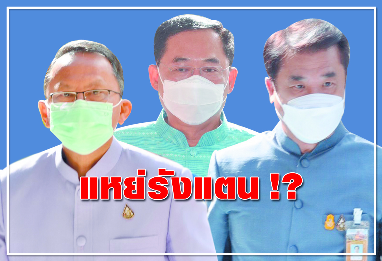  แหย่รังแตน !?