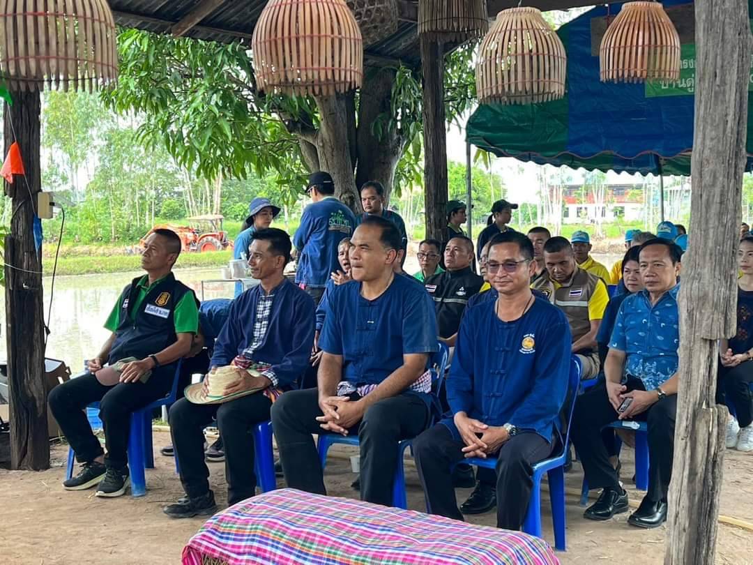 เกษตรอำเภอเมืองยโสธรบูรณาการร่วมสืบสานประเพณีลงแขกดำนา