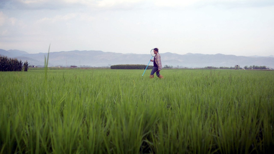 เนชั่นแนล จีโอกราฟฟิก จับมือ เป๊ปซี่โค เปิดตัว “Food for Tomorrow” ขับเคลื่อนเกษตรกรรมเชิงฟื้นฟู สู่อนาคตยั่งยืน