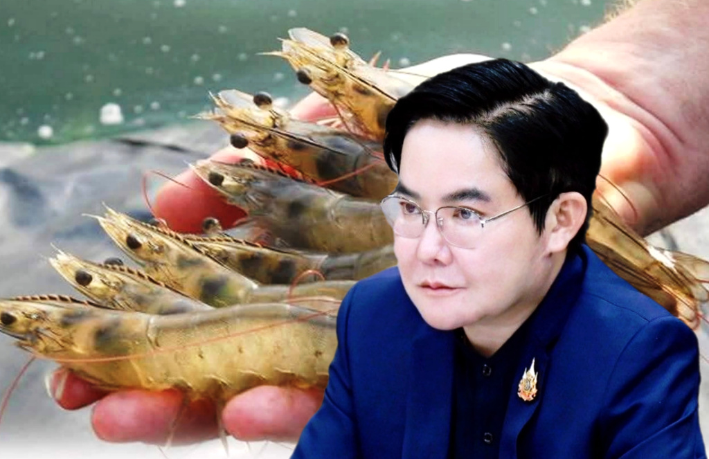 เกษตรฯ เดินหน้า 11 มาตรการ ลุยฟื้นอุตสาหกรรมกุ้ง