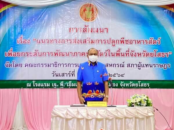 ยโสธรส่งเสริมปลูกพืชอาหารสัตว์เพื่อยกระดับการพัฒนาปศุสัตว์