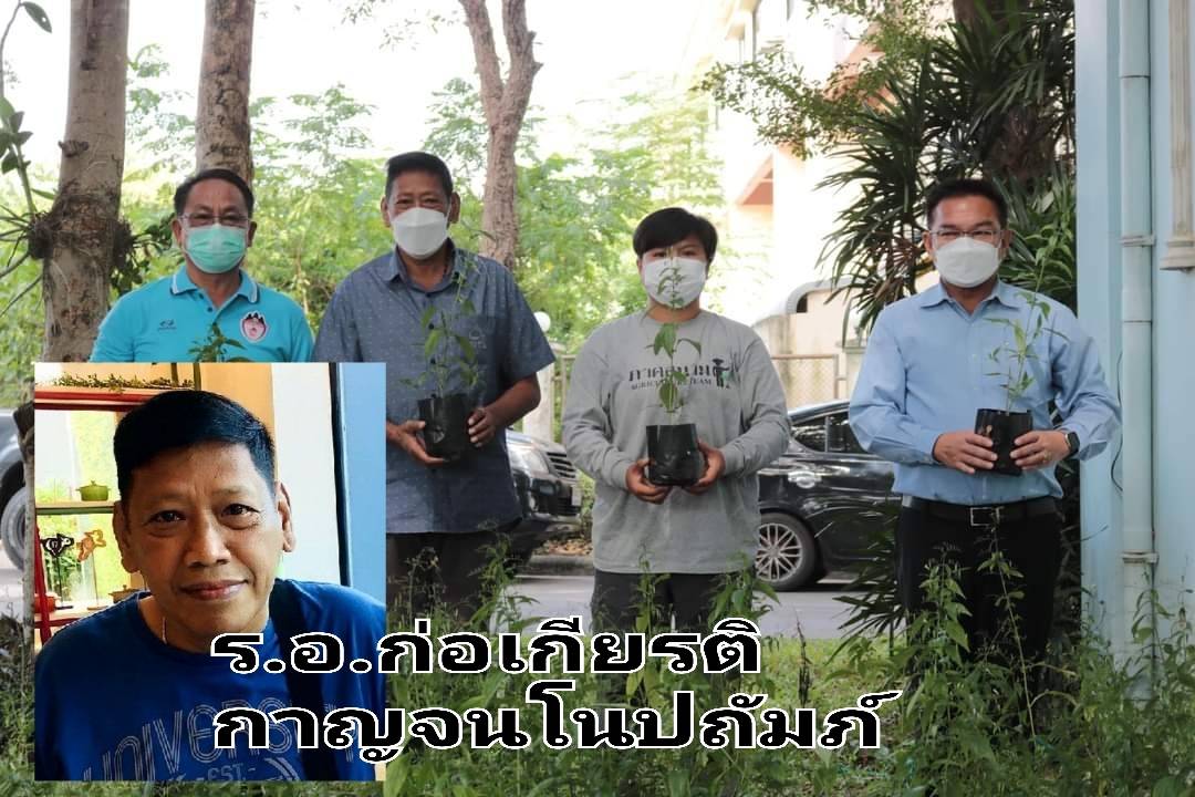 "ร.อ.ก่อเกียรติ" มอบ"ต้นฟ้าทะลายโจร" ให้ทต.เขาพระงาม