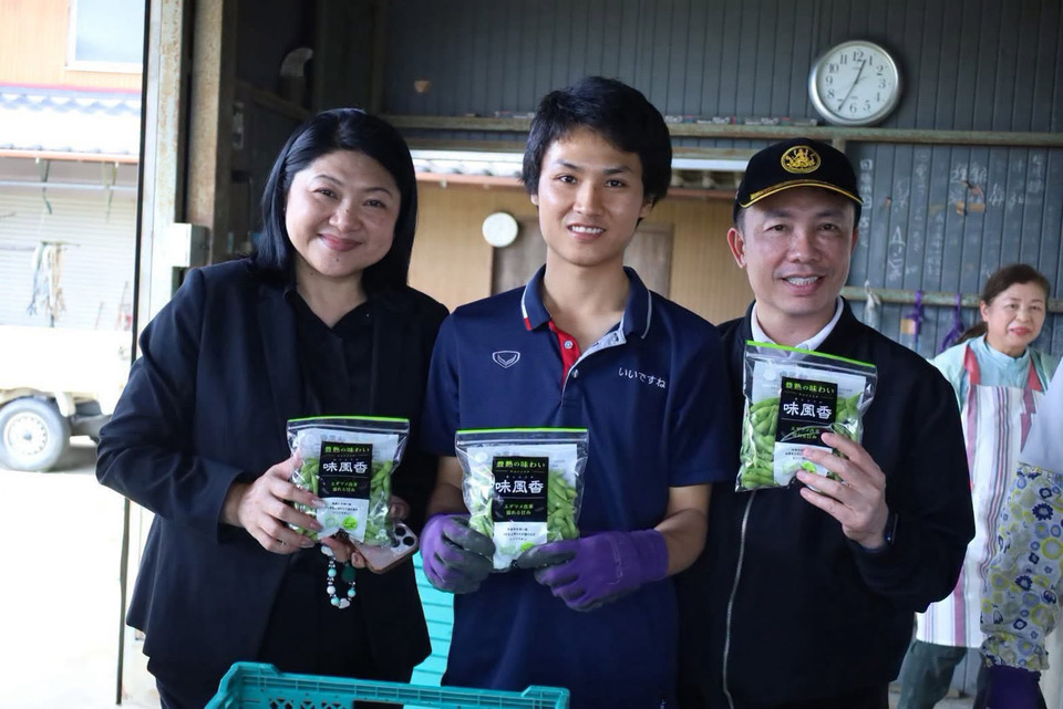 สมาชิกสหกรณ์และทายาทมีเฮ! กรมส่งเสริมสหกรณ์เปิดรับฝึกงานเกษตรที่ญี่ปุ่น