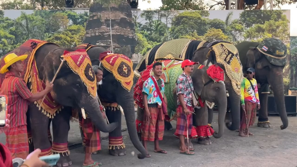 มหาสงกรานต์ช้างสุรินทร์จัดใหญ่! ชวนเล่นน้ำสุดมันส์ใกล้ชิดช้าง สัมผัสวัฒนธรรม 4 ชนเผ่า 10-12 เม.ย.นี้