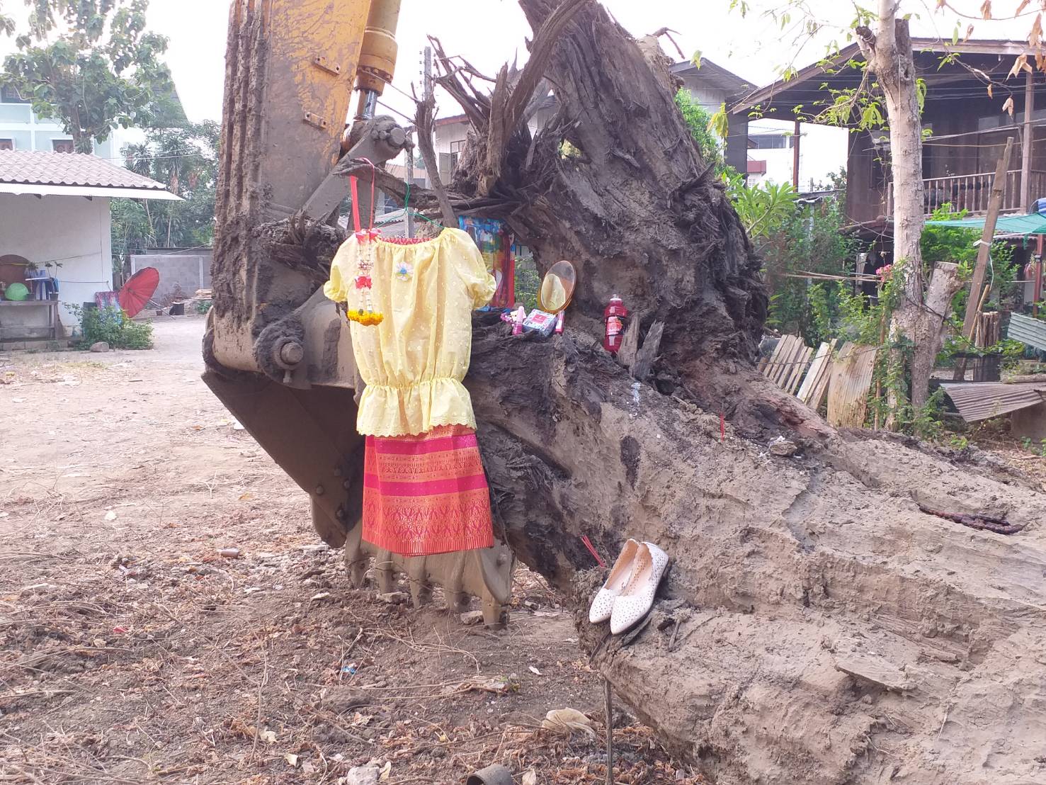 พบ“ตะเคียนยักษ์”อายุกว่า100ปีขนาด3คนโอบ ลำห้วยแม่สอดข้างวัดมณีไพรสณฑ์