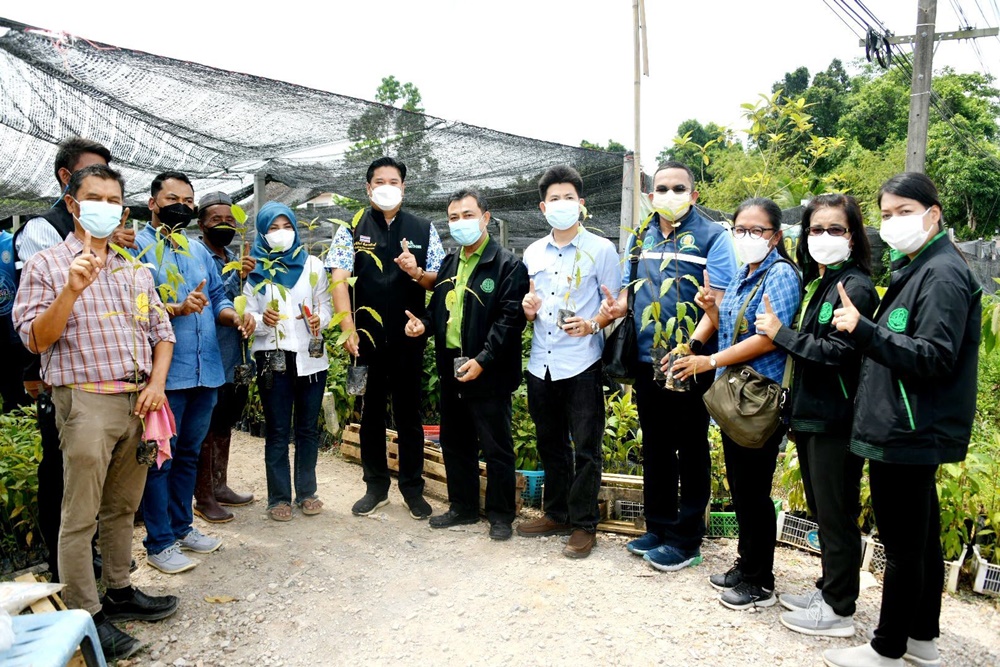 กรมวิชาการเกษตร รุกวิจัยพัฒนากล้ากระท่อม