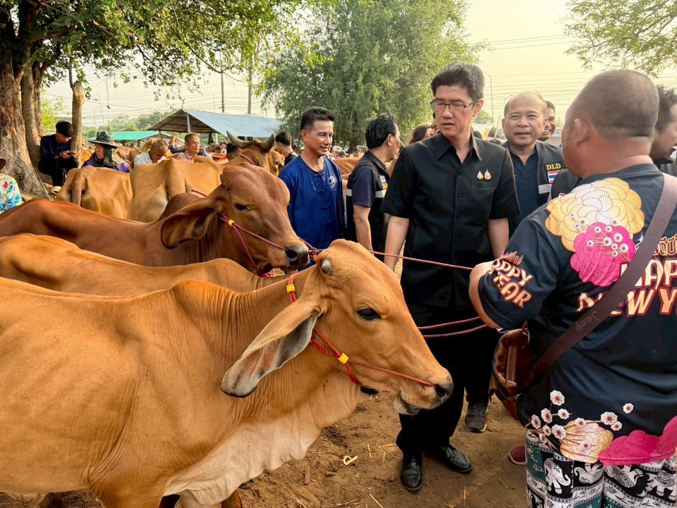 ยโสธรยกระดับปศุสัตว์ ตรวจตลาดโค-กระบือบ้านเชียงหวาง เข้มโรคระบาด-คุมราคายุติธรรม
