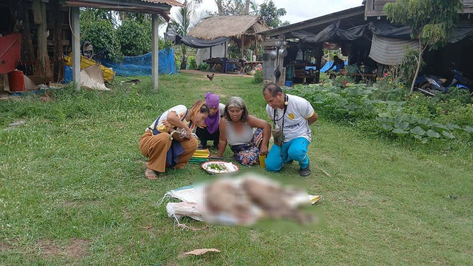 ฮือฮา! วัวแฝดตายคู่ก่อนฝังฝนโปรย ชาวบ้านเชื่อเหมือนเทวดารดน้ำมนต์ แห่ส่องเลขลุ้นโชค