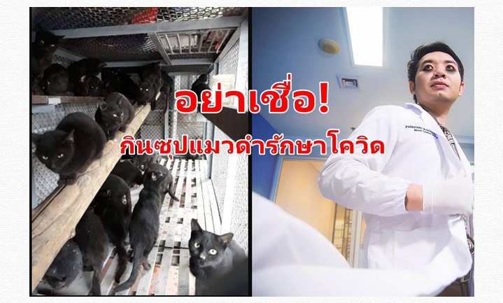 หมอแล็บแพนด้า เตือนอย่าเชื่อกินซุปแมวดำรักษาโควิด 