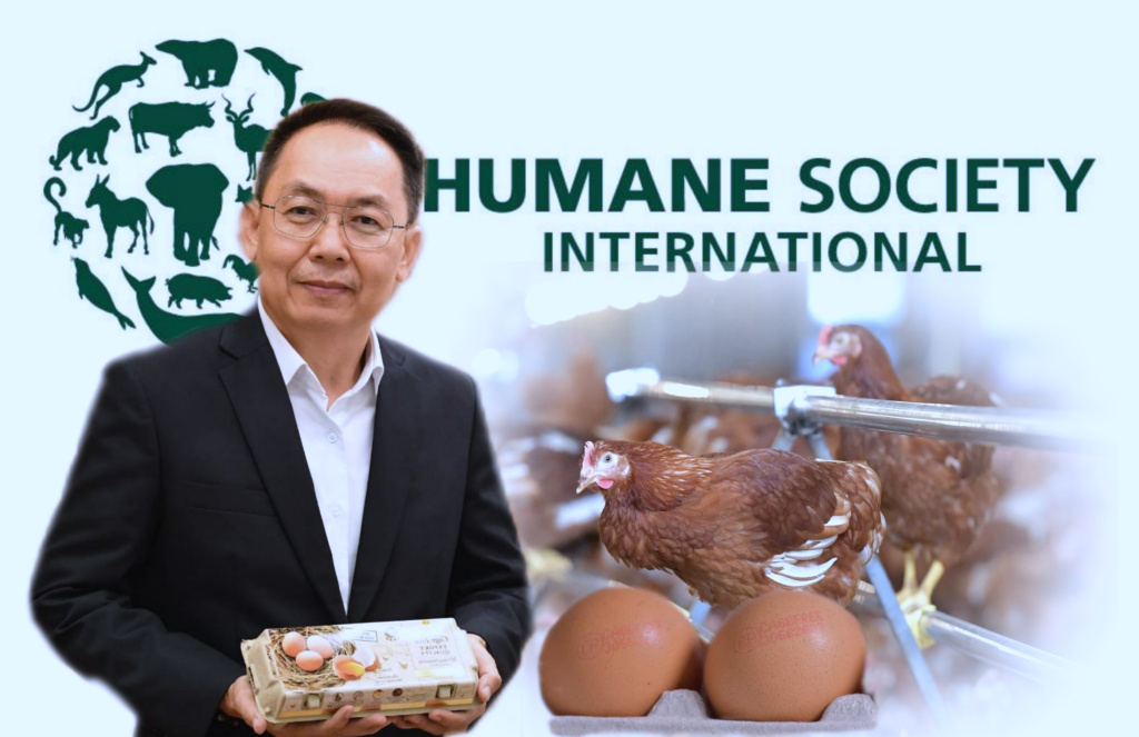 HSI เอ็นจีโอระดับโลก ยก CPF ผู้นำเลี้ยงไก่ไข่ Cage Free ขับเคลื่อนระบบอาหารที่รับผิดชอบ