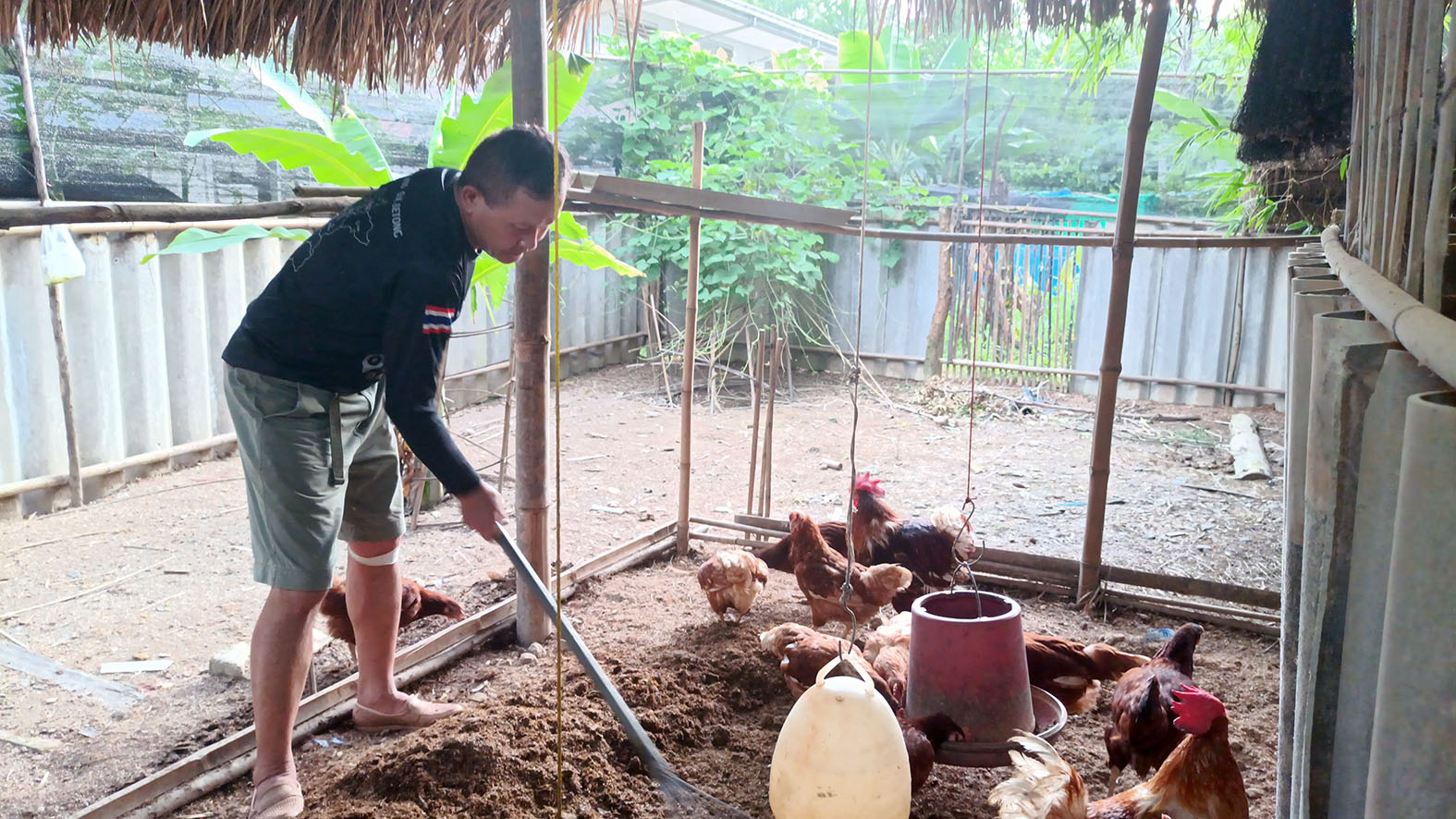 ผู้กำกับสถานีตำรวจภูธรปากคาดเผยโครงการตำรวจเลี้ยงไก่ไข่อารมณ์ดีตามแนวทางเศรษฐกิจพอเพียงช่วยประหยัดค่าใช้จ่าย 