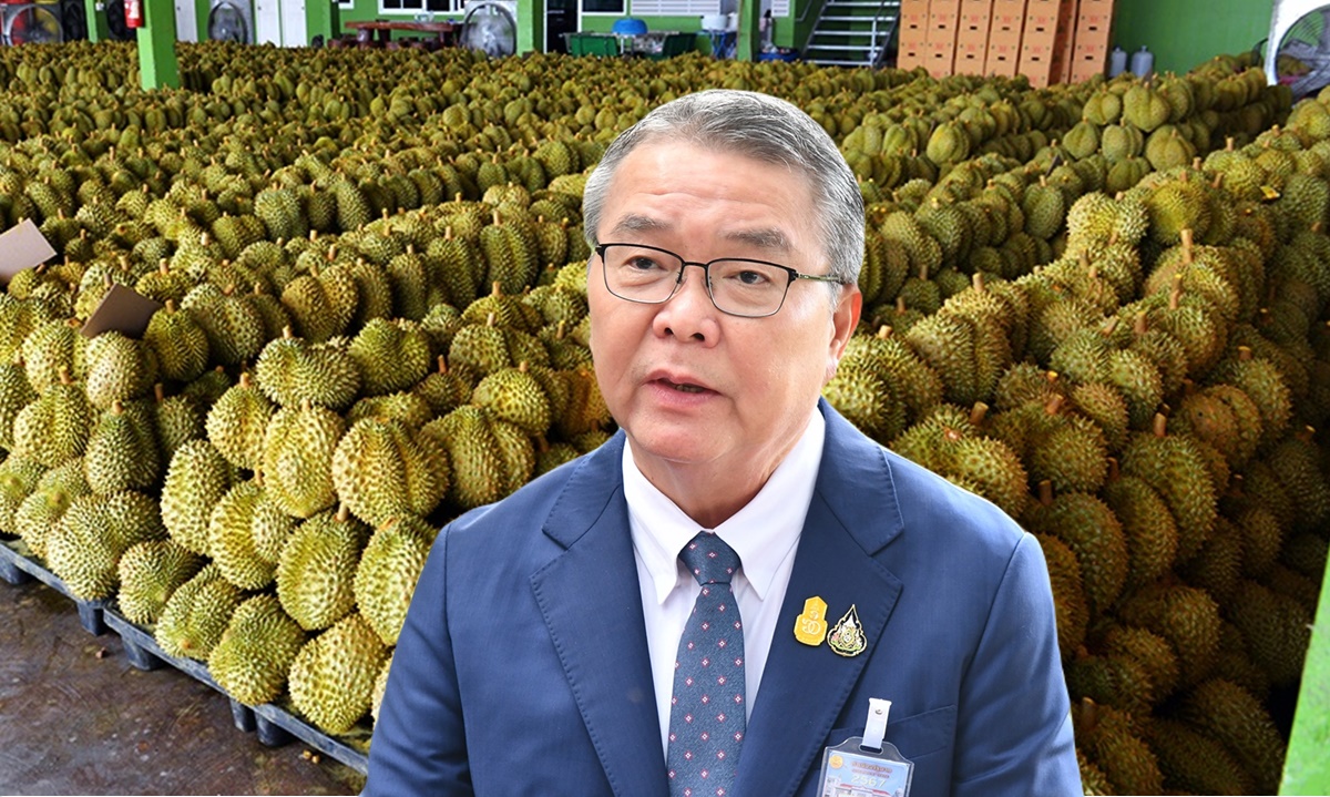 ไทยยืน 1 ส่งออกทุเรียนสดไปจีน เชื่อว่าไทยยังคงแชมป์