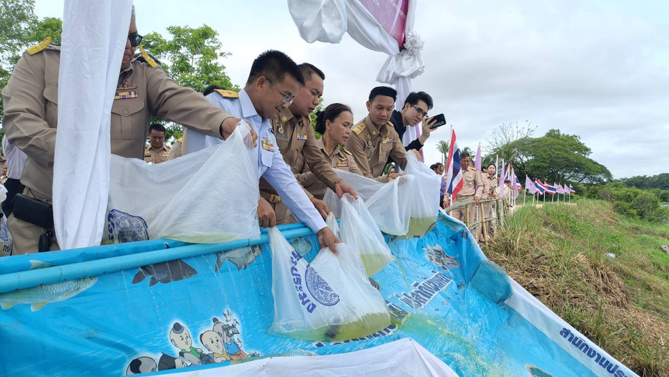 หนองคายปล่อยพันธุ์สัตว์น้ำ 200,049 ตัว ถวายเป็นพระราชกุศล เนื่องในวันเฉลิมพระชนมพรรษาพระบรมราชินี 