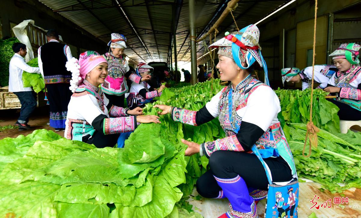 สร้างสังคมกินอยู่ดีอย่างรอบด้าน :  บทความอันรุ่งโรจน์ของการพัฒนากิจการด้านสิทธิมนุษยชนของจีน