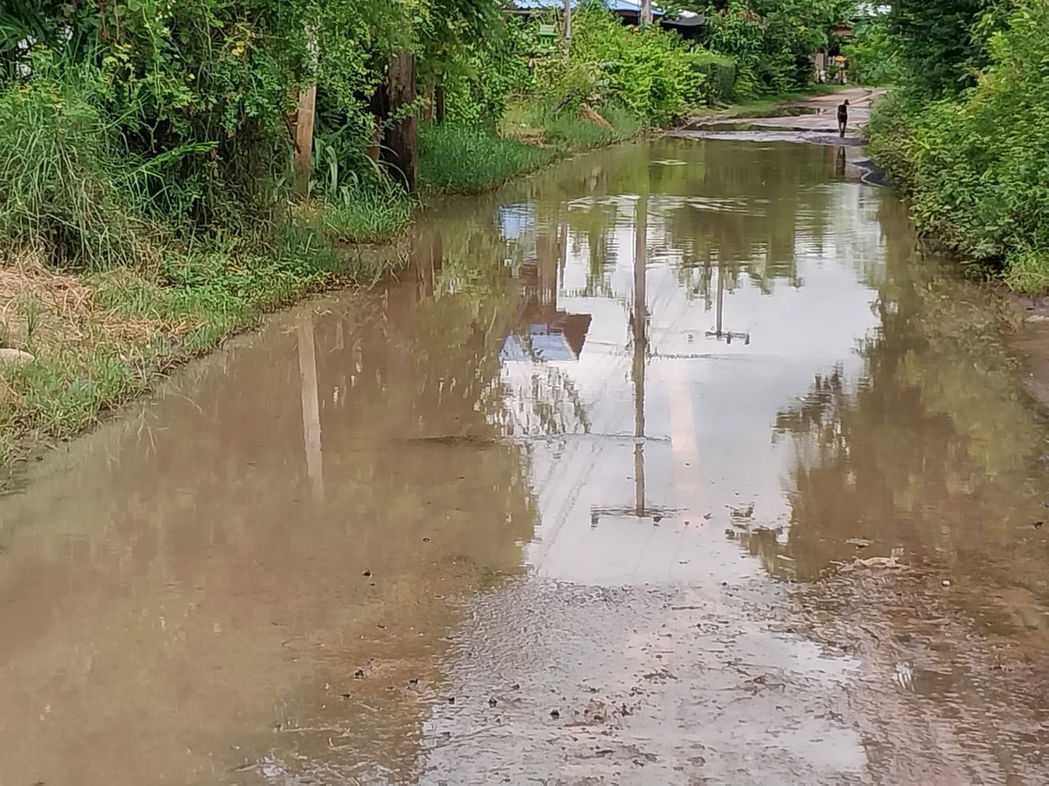  ชาวบ้านต.จารพัต ศีขรภูมิ เดือดร้อน โวยถนนการสัญจร ลำบาก มานานนับปีขาดการเหลียวแลวอนผู้เกี่ยวข้องเข้ามาดูแล
