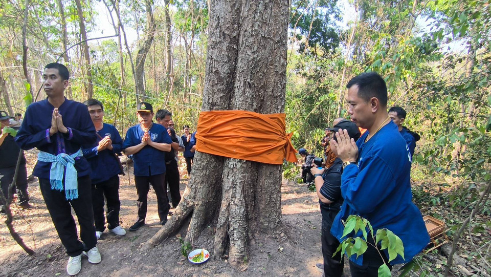 ยโสธร "บวชป่าไพร" ผ้าเหลืองห่มต้นไม้ สร้างพื้นที่ศักดิ์สิทธิ์-รายได้ชุมชน            