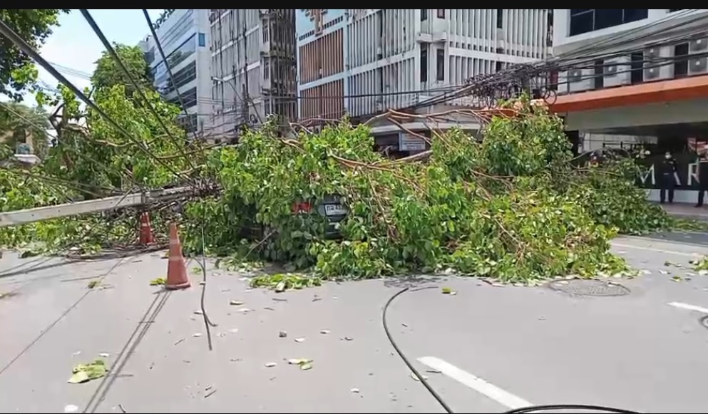 ฝนถล่มกรุงเป็นเหตุทำต้นโพธิ์ยักษ์100ปี โค่นเสาไฟฟ้าหัก  แยกสามยอดทับรถเก๋งและจยย.เสียหายระนาว 