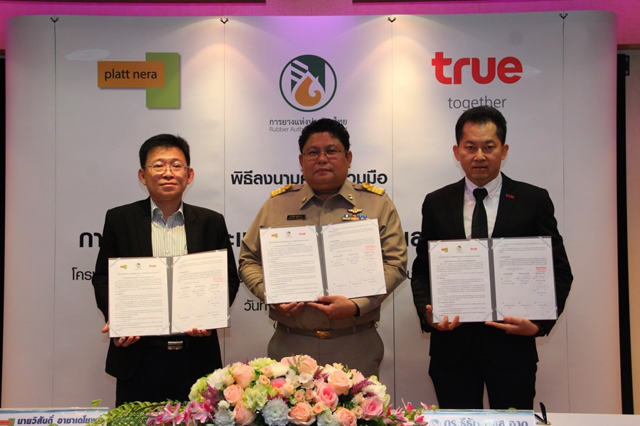 กยท. จับมือ กลุ่มทรู และ แพลทเนรา ตั้งศูนย์กลางข้อมูลข่าวสารยางพาราไทยมุ่งพัฒนาศักยภาพผู้ประกอบการ 