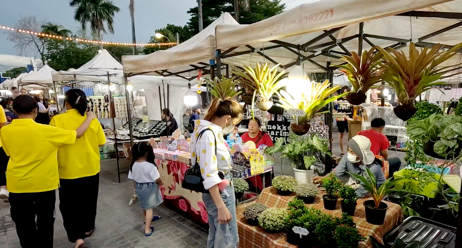 บุรีรัมย์หนาวแล้วปชช. แห่เดินช้อปถนนคนเดิน"เซราะกราว" คึกคัก