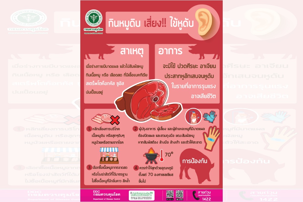 สุดอันตราย! กินหมูดิบ เสี่ยงหูดับ-หูหนวกถาวร