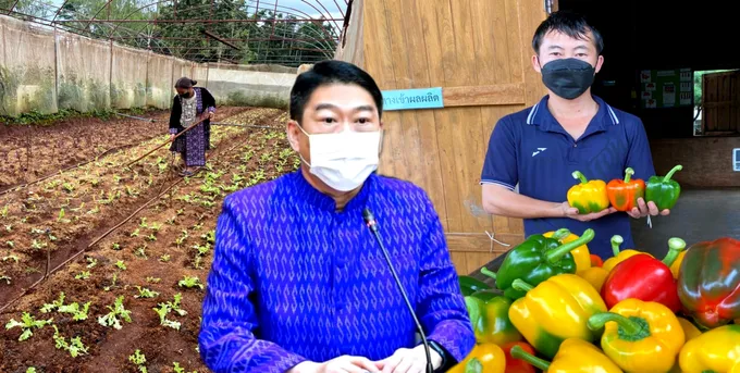 กสส. คัดเลือก "สหกรณ์ฯโครงการหลวงพบพระ" ขึ้นแท่นสหกรณ์ในพื้นที่โครงการหลวงดีเด่น ปี 64