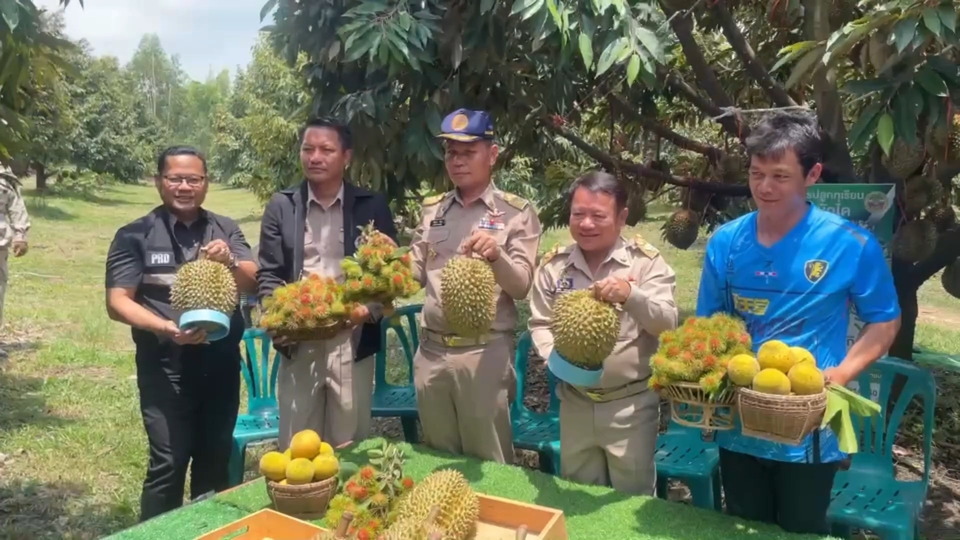 สุรินทร์เปิดฤดูกาล “ทุเรียนภูเขาไฟพนมดงรัก” ผู้ว่าฯ ตัดลูกแรกการันตีความอร่อย เชิญเที่ยวชิม–ชมปราสาทตาควาย