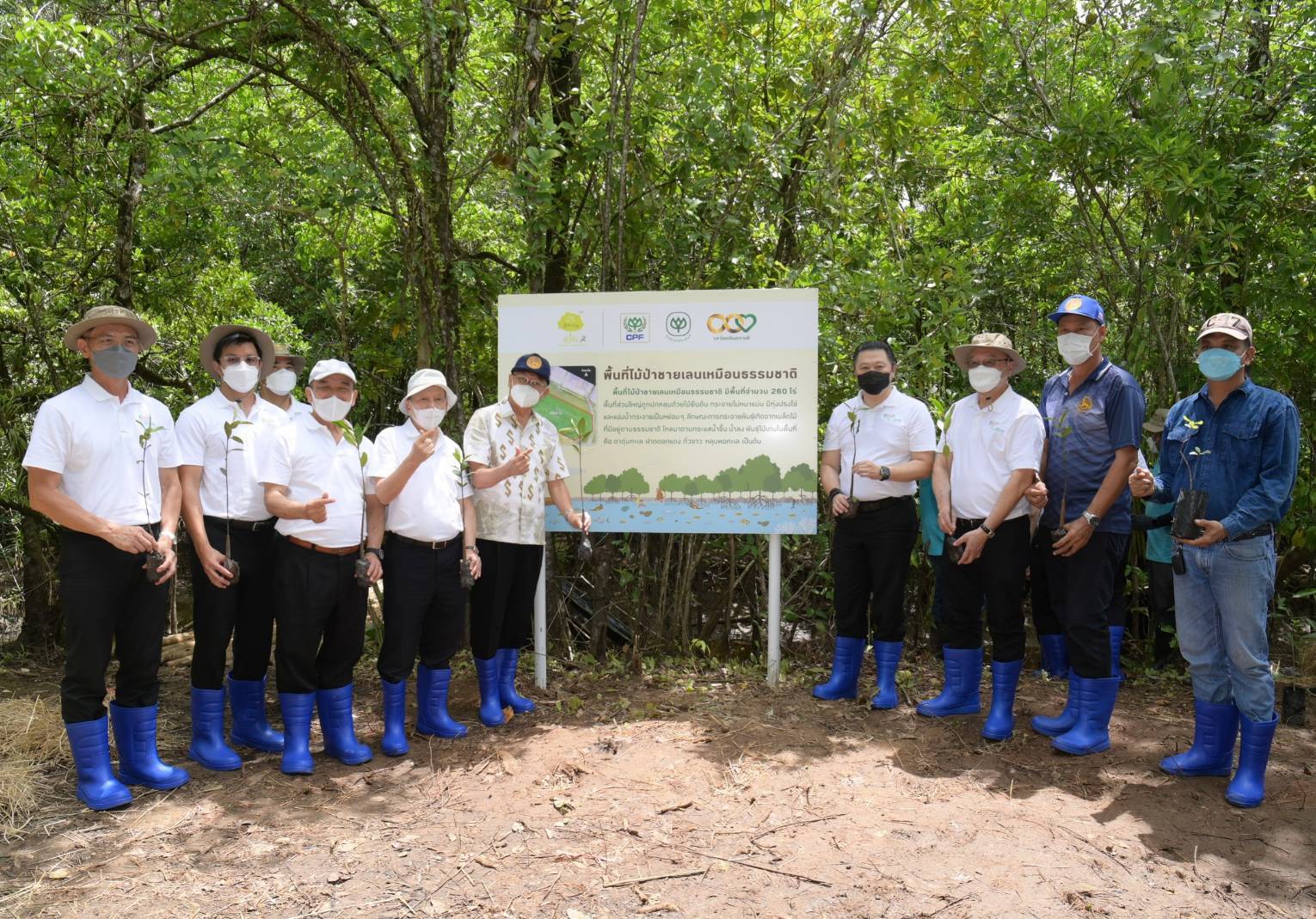 CP-CPF รวมพลังฟื้นฟูป่าชายเลน เพิ่มความหลากหลายทางชีวภาพ พร้อมส่งเสริมคุณภาพชีวิตชุมชน