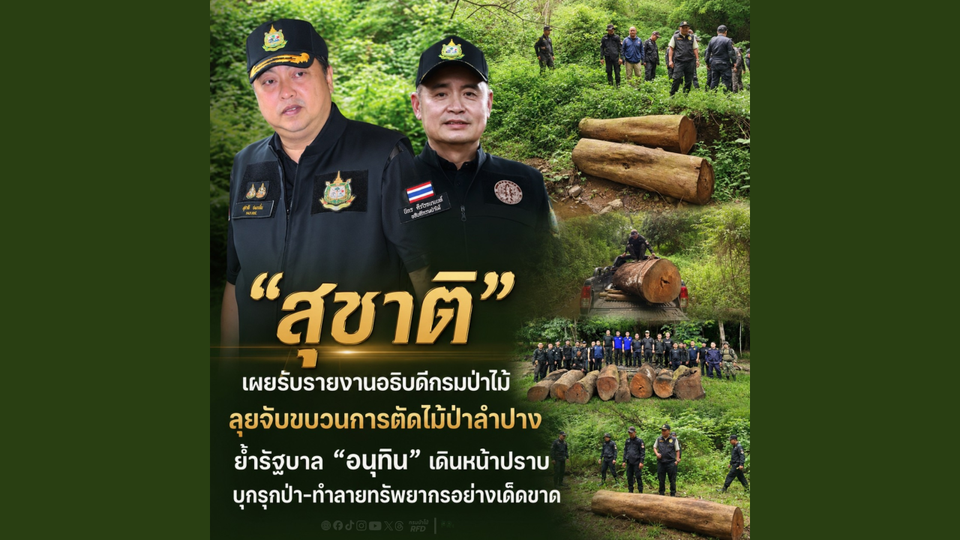 “สุชาติ” เผยรับรายงานอธิบดีกรมป่าไม้ ลุยจับขบวนการตัดไม้ป่าลำปาง