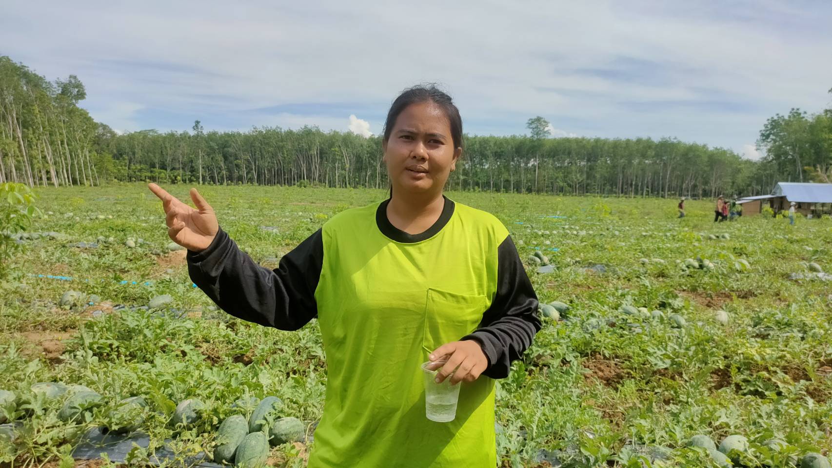 บุตรสาวนายกฯสตูลหลงรักอาชีพเกษตร..ทันทีที่เรียนจบแม่โจ้ลุยปลูกแตงโมพืชทนแล้ง อายุสั้นทำเงินไว