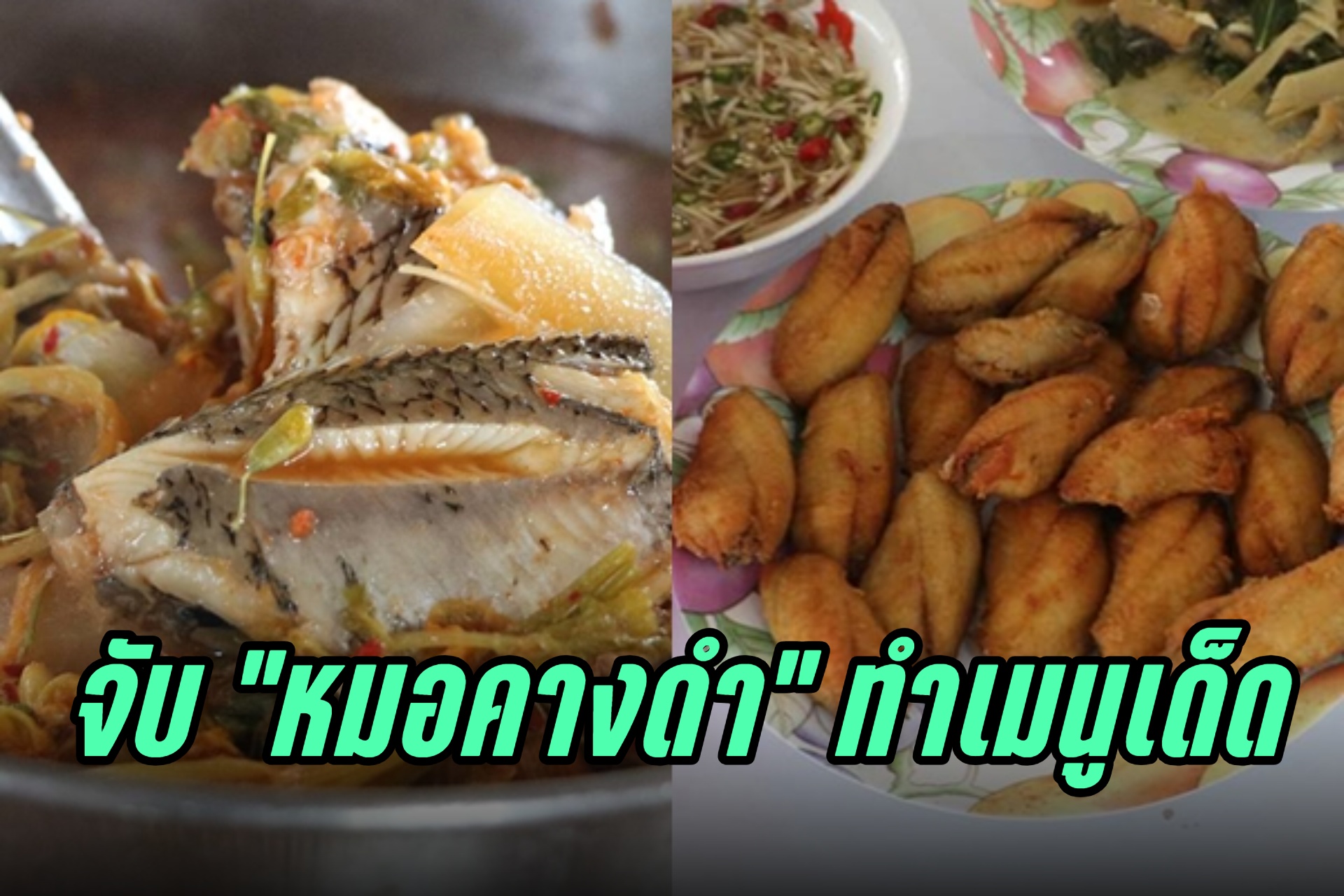 ประมงจังหวัดราชบุรี ร่วมกับชาวบ้าน จับปลาหมอคาง ทำเมนูอาหาร ทั้งแกงส้ม  ทอด 