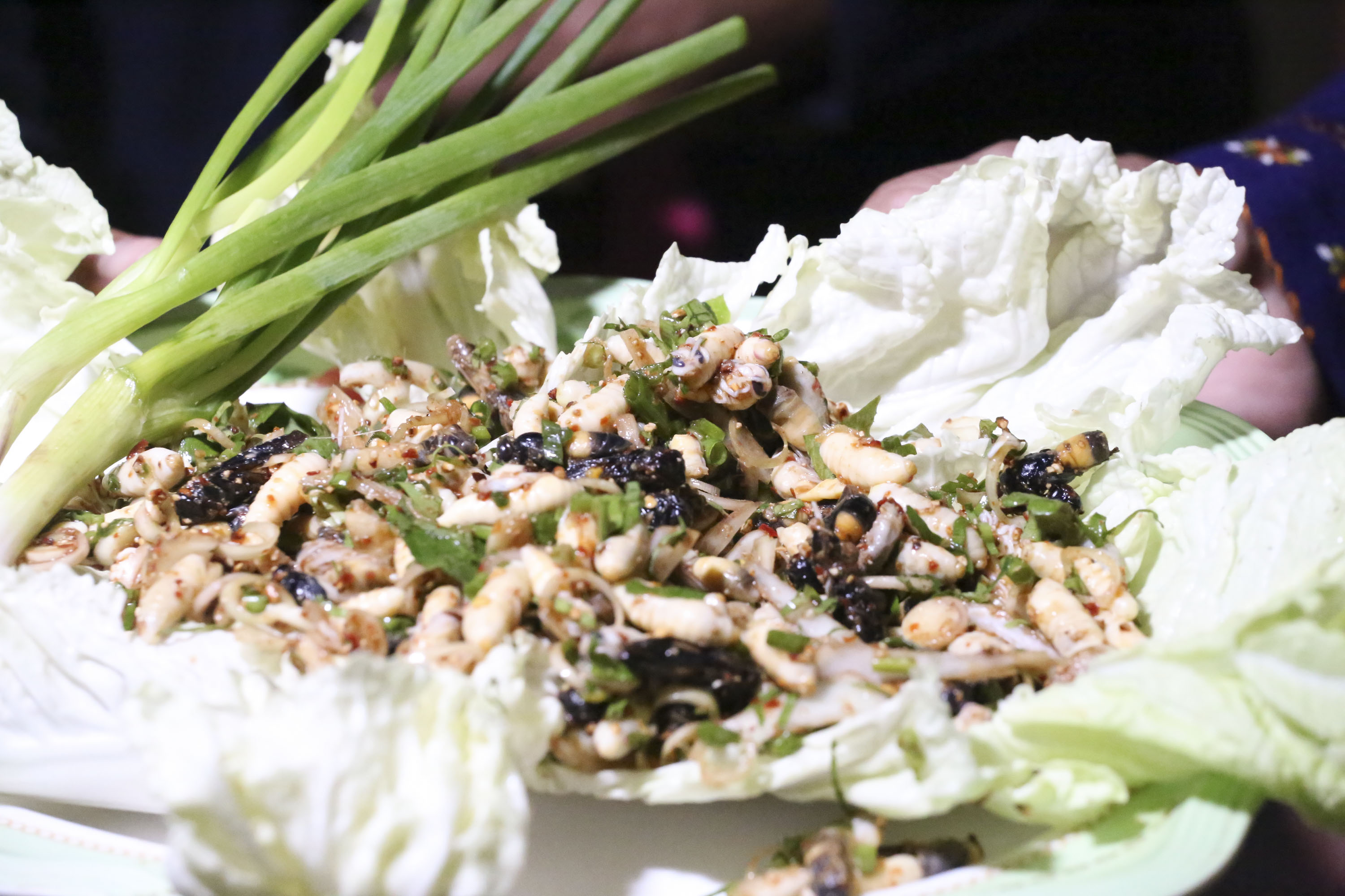นอภ.ปลาปาก ท้าเปิบเมนูเด็ด จัดเทศกาลกินต่อหัวเสือ หนุนท่องเที่ยว