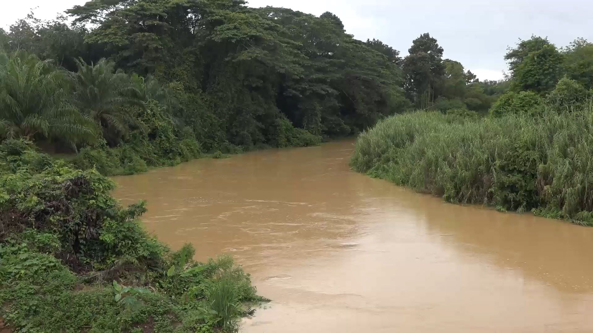 ฝนตกต่อเนื่องที่ "สะเดา"หลายวันทำน้ำในคลองขึ้นหลายนิ้ว