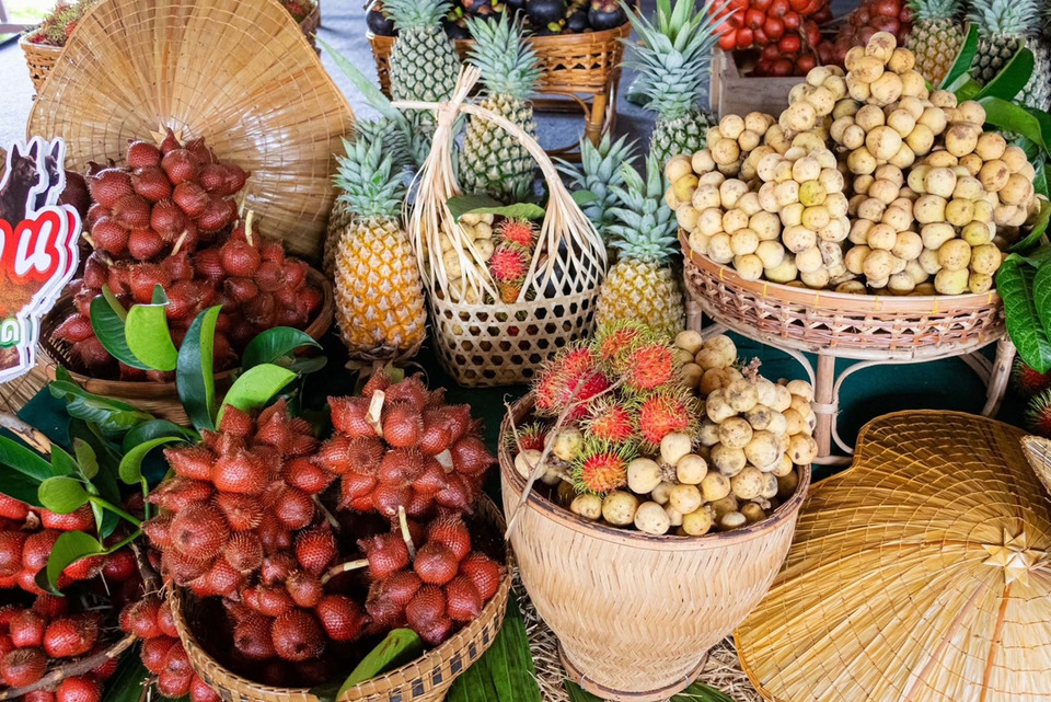 ตราดเดินหน้าโปรโมตเที่ยวหน้าฝน ชิมผลไม้ GI เกาะช้าง-เกาะกูด หลังนักท่องเที่ยวทะลัก 4 เดือนแรก