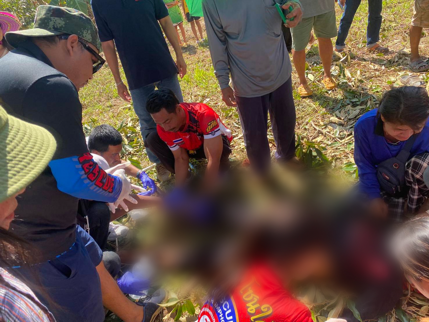 พี่น้องเฉียดตาย พลาด!ท่อเหล็กเกี่ยวถูกสายไฟฟ้าแรงสูงช็อตร่วงขณะตัดแต่งกิ่งทุเรียนสาหัส       
