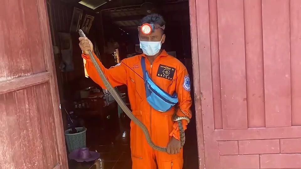 ถึงกับหงาย!! ชาวบ้านช่วยทำความสะอาดบ้านวันหยุดนักขัตฤกษ์พบงูยาวกว่า 2 เมตร ขดตัวนอน