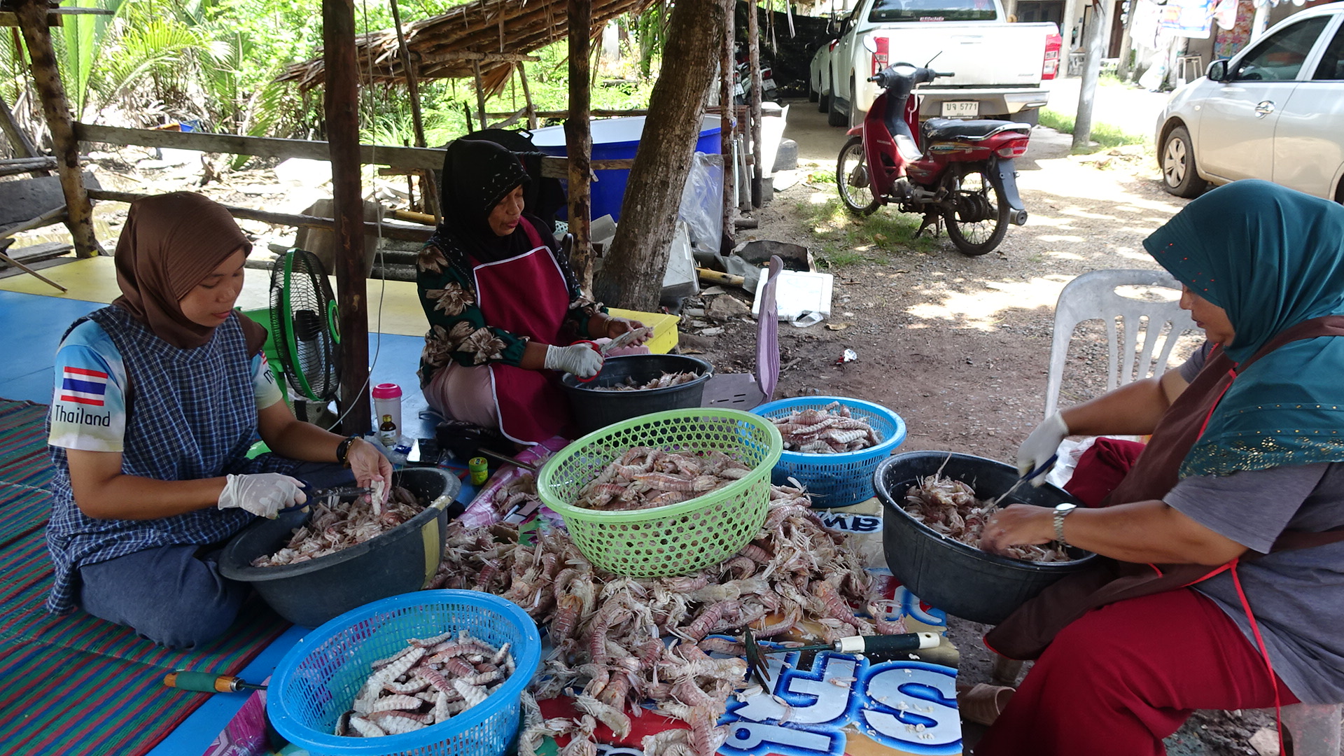ท้องทะเลสตูลมี'กั้งขาว-กั้งเขียว'ได้รับความนิยมจากตลาดสร้างอาชีพทั้งชาวประมงและแม่บ้าน 