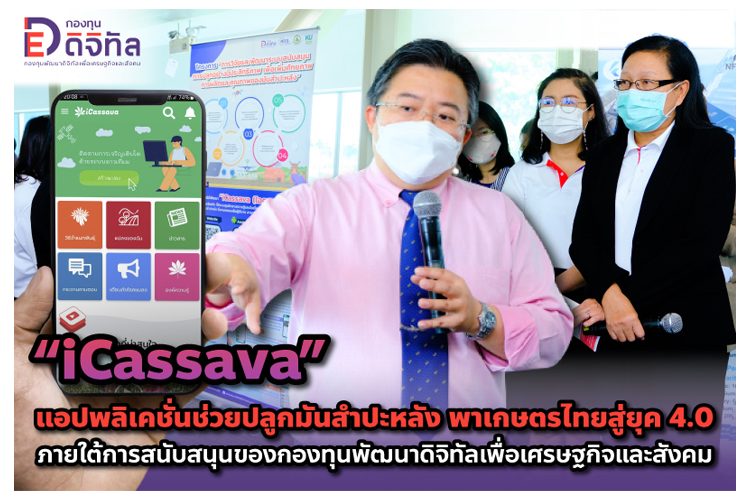 “iCassava” แอปพลิเคชั่นช่วยปลูกมันสำปะหลัง พาเกษตรไทยสู่ยุค 4.0 