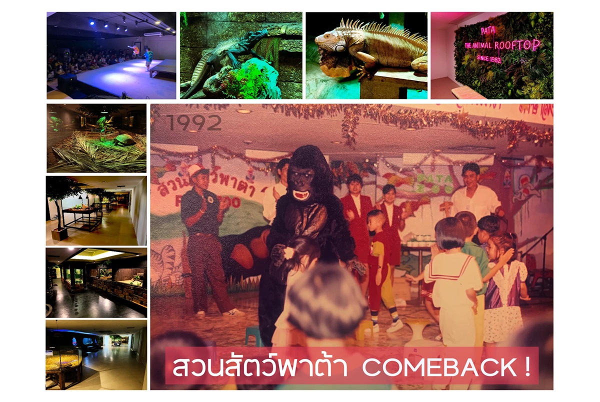 สวนสัตว์พาต้า Come Back! เปิดทุกวันไม่มีวันหยุด พร้อมเยี่ยมชม "ป้าบัว" ในสถานที่ปรับปรุงใหม่