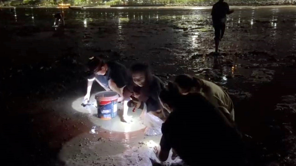นทท.–ชาวบ้านแห่หาหอยชายหาดนาเกลือ หลังน้ำทะเลลด บรรยากาศคึกคักรับลมทะเล