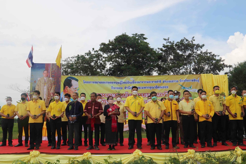 ชาวเขาวงร่วมโครงการขยายผลเกษตรทฤษฎีใหม่ฯ พร้อมร้องเพลงใต้ร่มพระบารมี สำนึกพระมหากรุณาธิคุณในหลวง ร.9